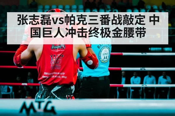 Zhang Zhilei boxing fight