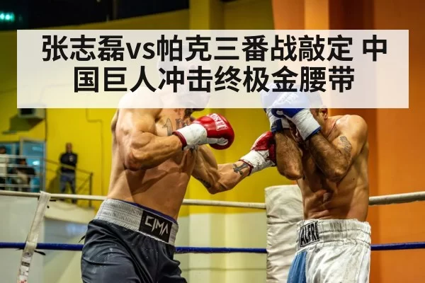 Chinese heavyweight boxer