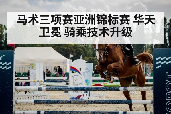 show jumping horse
